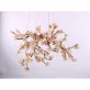 DV3953 Almond
